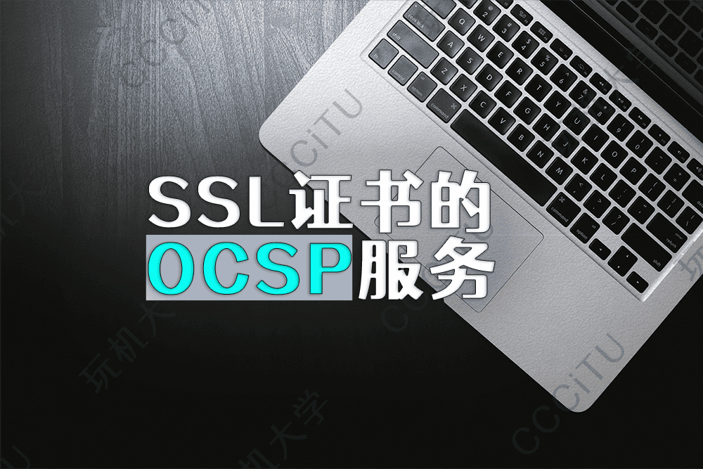 如何查询所用 SSL 证书的 OCSP 服务网址