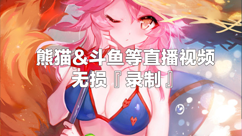 使用 IDM 无损录制(下载)直播视频(斗鱼、熊猫等)