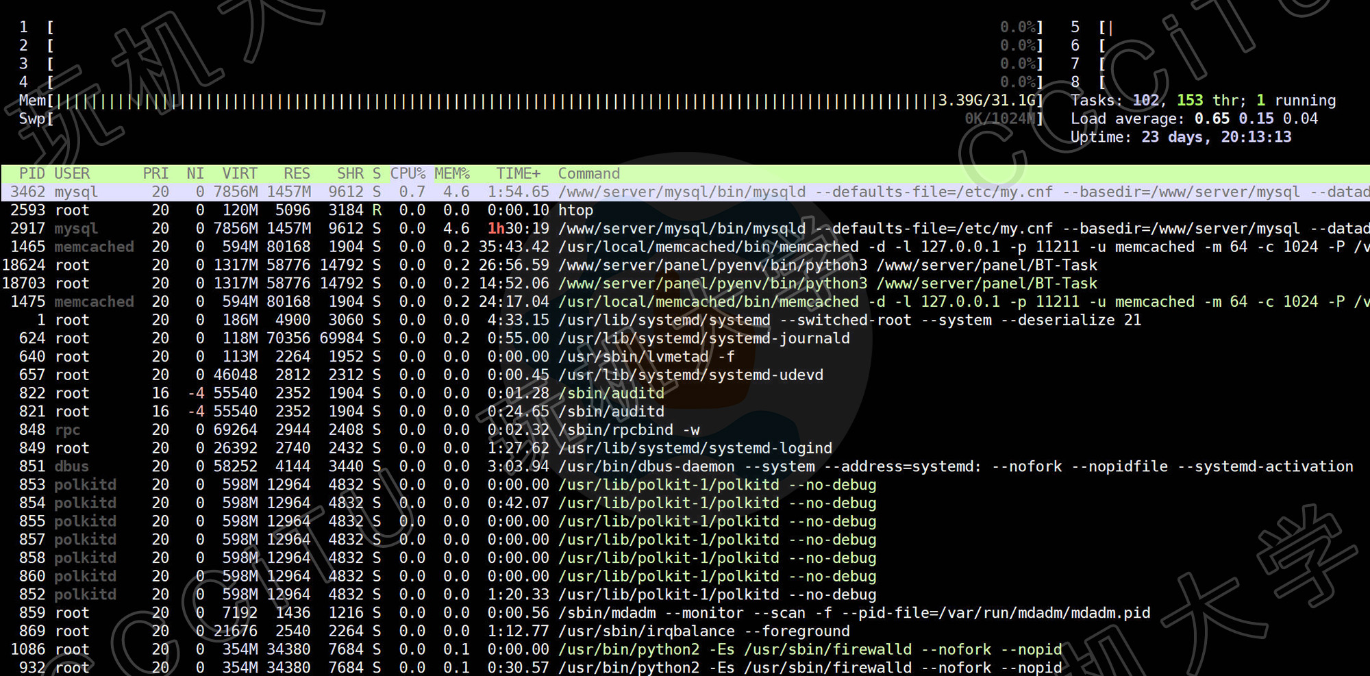 Linux使用htop命令实时查看CPU、内存和进程
