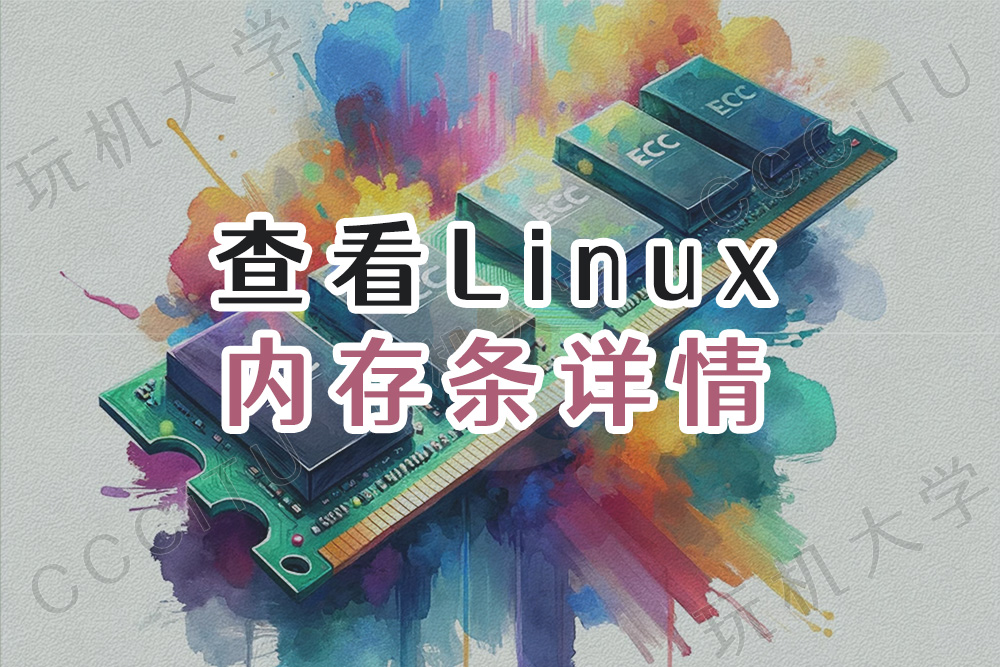 Linux查看内存条的品牌、容量和ECC