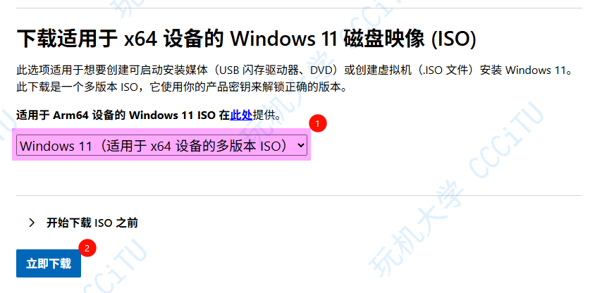 下载 Windows 11 磁盘映像 ISO
